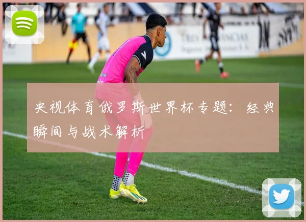 央视体育俄罗斯世界杯专题：经典瞬间与战术解析